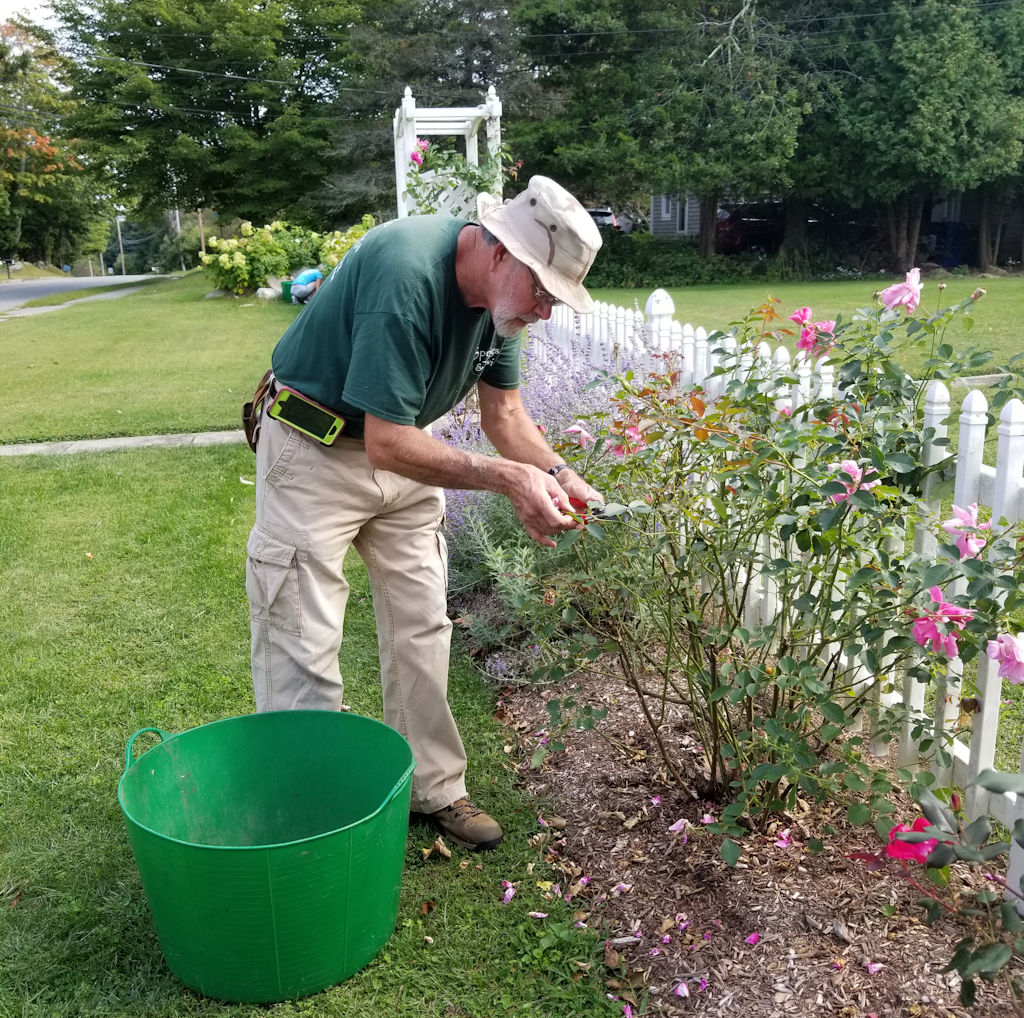 Become a Pollished Pruner