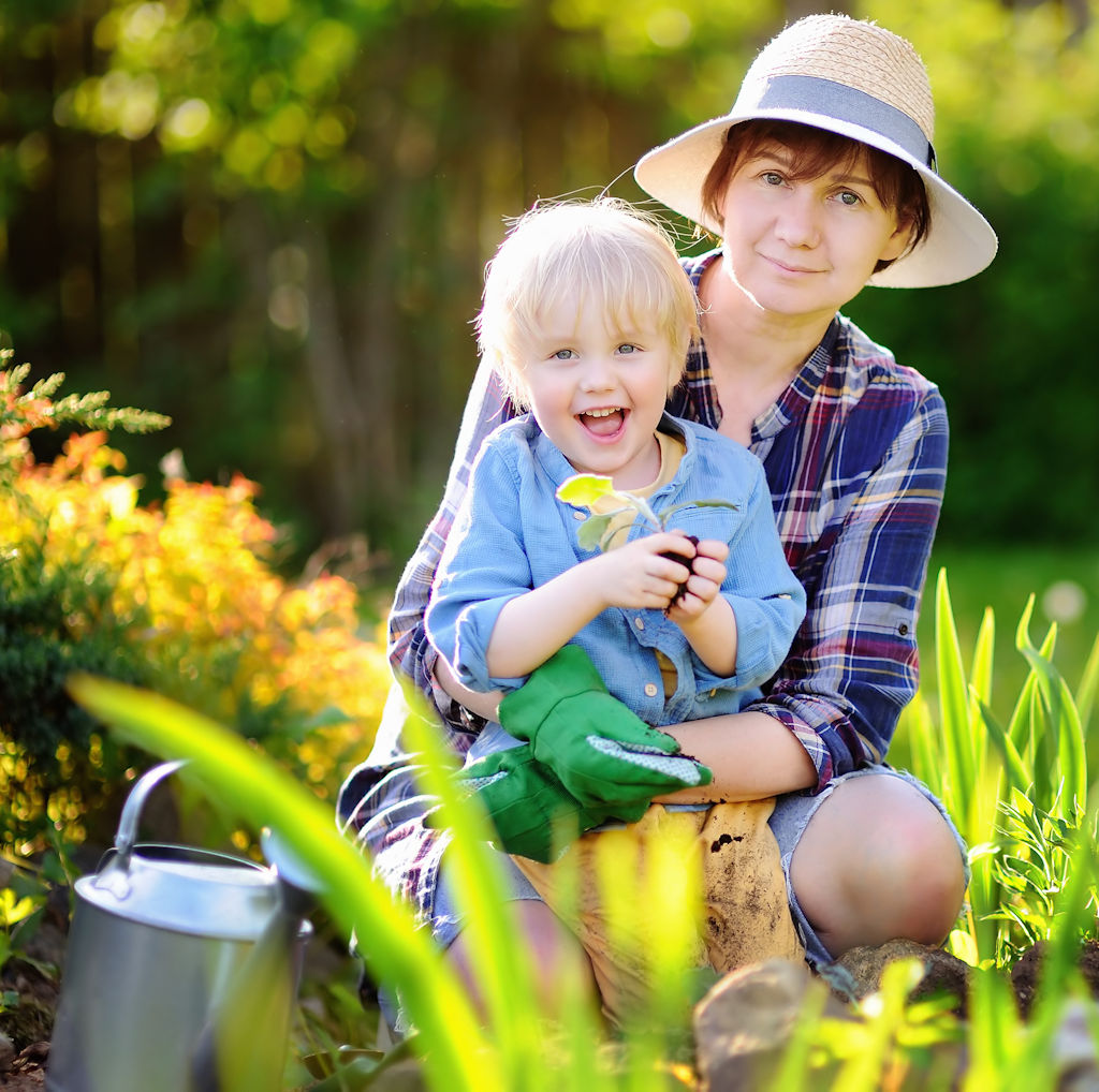 Take a Backyard Safari